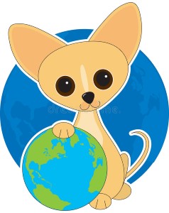 an earth day chihuahua dog